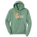 Jesus is King Adult Hoodie