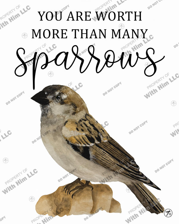 You are worth more than many sparrows